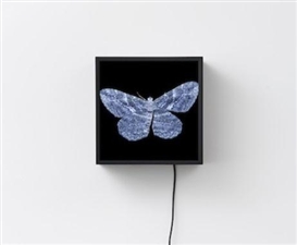 Owen Kydd at Monte Clark Gallery, Vancouver